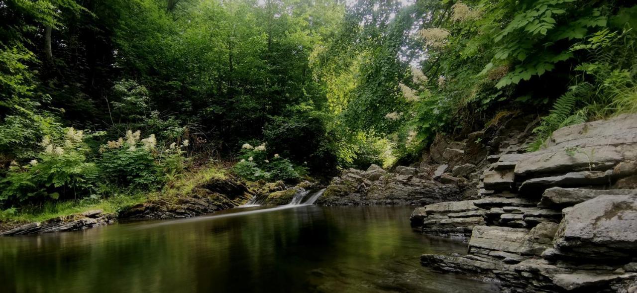 Penzion Rzehaczek Dolní Lomná Exterior foto