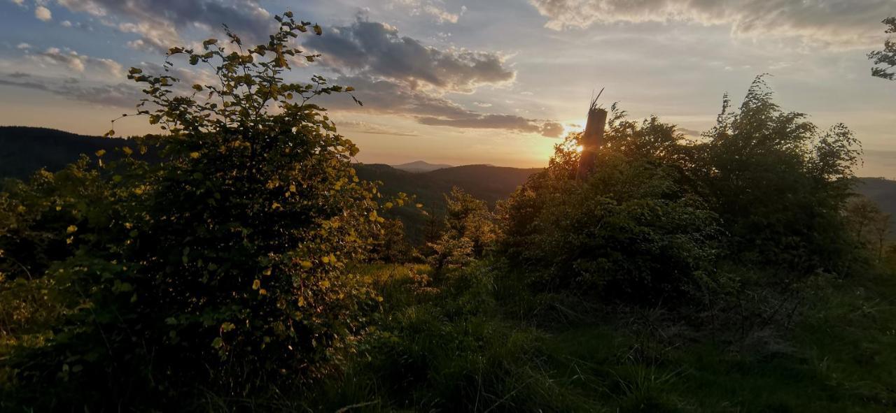 Penzion Rzehaczek Dolní Lomná Exterior foto