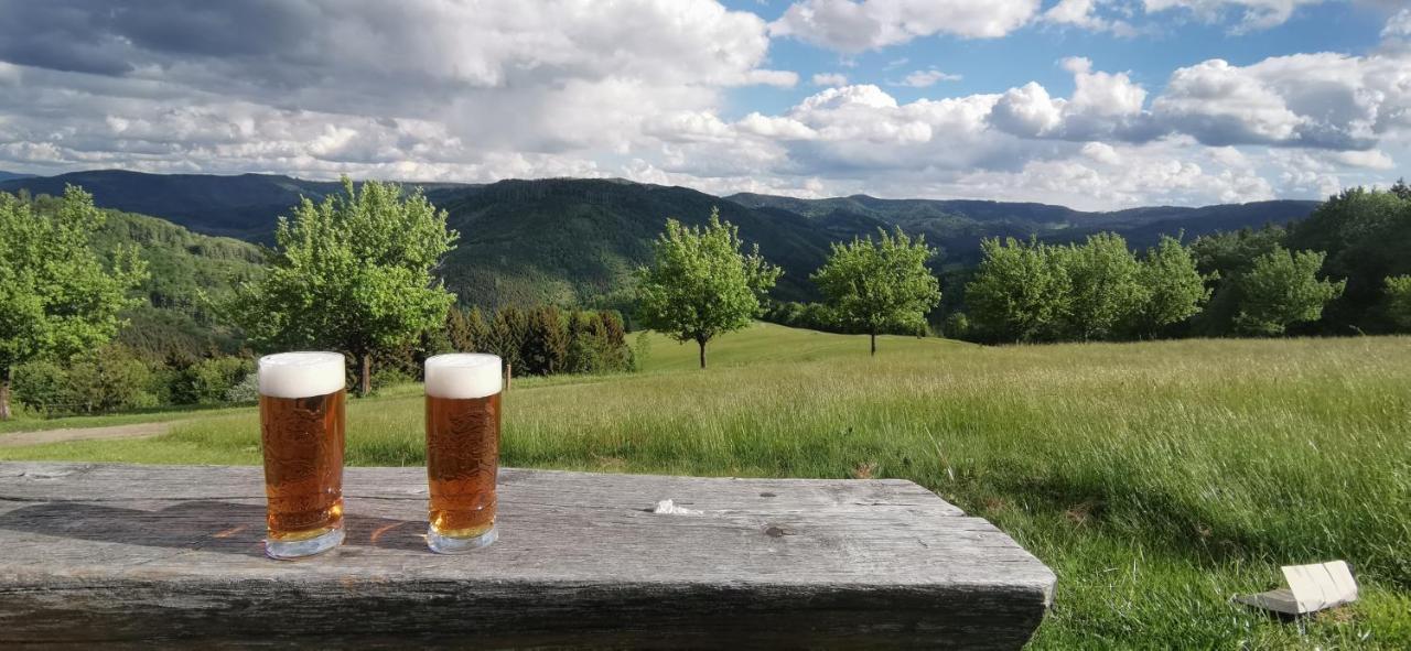 Penzion Rzehaczek Dolní Lomná Exterior foto